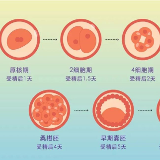 怀孕为什么排卵试纸会强阳